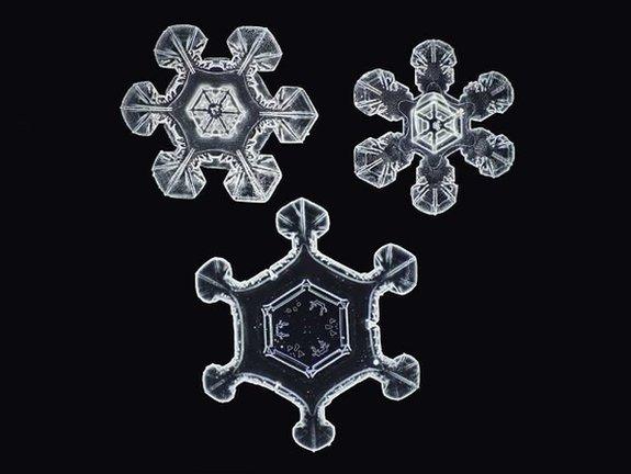 Snowflakes up close