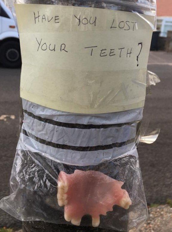 Teeth in a bag on a tree