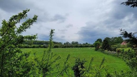 Fields and trees. This is the land where 34 industrial units are planned.