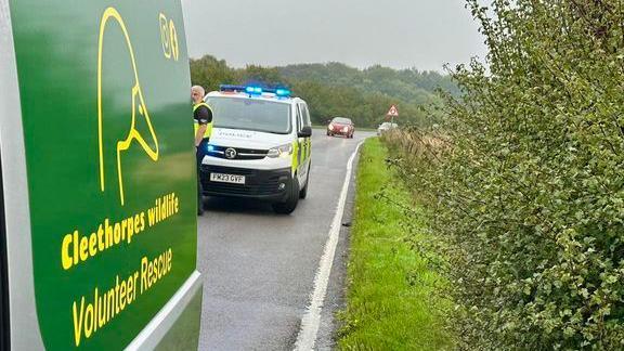 Scene of one of incidents with a Cleethorpes Wildlife Rescue vehicle in the foreground and an officer standing next to a marked police car