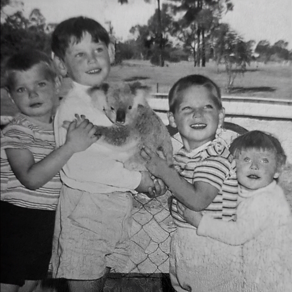A black and white photo showing Cheryl Grimmer and her three brothers holding a koala.