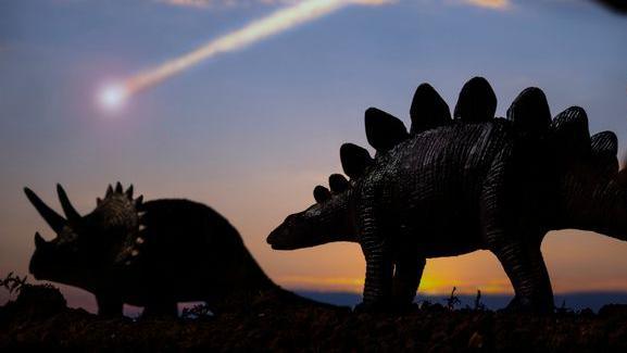 Dinosaurs and an asteroid falling from the sky.