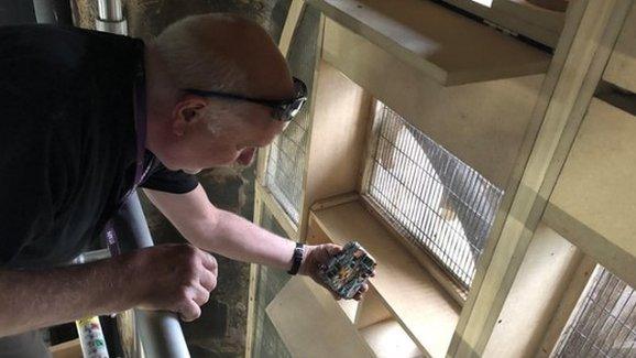 Motion cameras being placed in swift boxes at the top of Durham Cathedral Belfy Tower