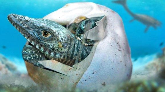 Baby-mosasaur-hatching-from-egg.