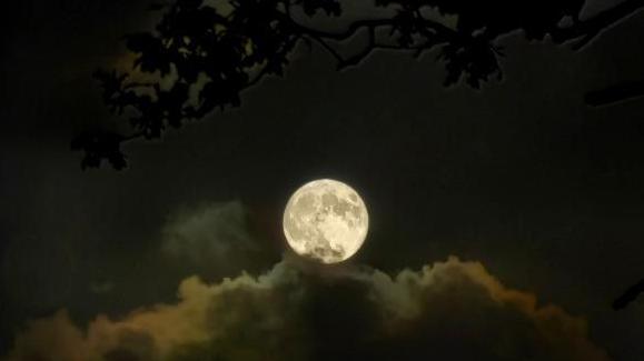 The supermoon poking out of clouds in the night sky, tree branches are visible in the top of the photo