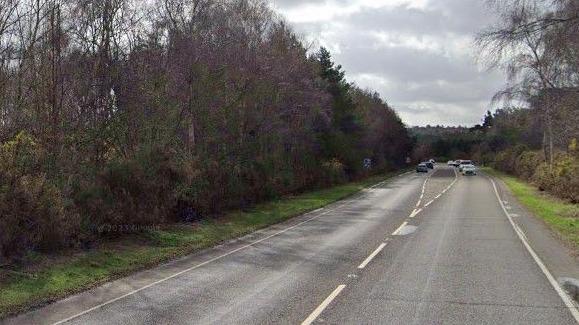 Open rural road with cars in the distance. There are hedges alongside the road