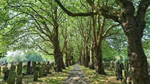 Southern Cemetery in Chorlton, Manchester, with tree-lined avenues and gravestones.