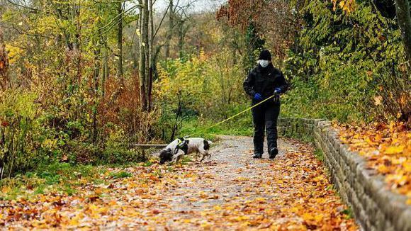 A man from Northamptonshire Police, dressed all in black holds a leash of a black and white police dog searching through a leafy path.