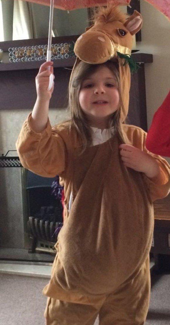 camel costume