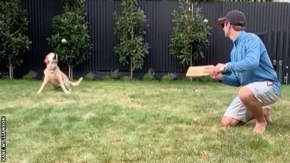 Kane Williamson and his dog