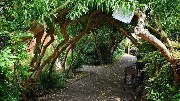 A willow arch covered in foliage growing over a grey paved pathway. There is a wooden stand to one side of the path.