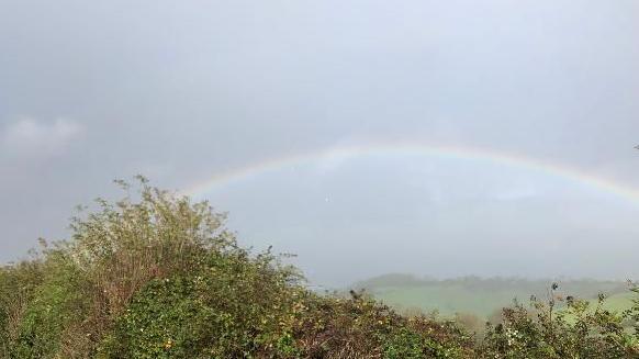 A full rainbow in misty skies over a valley with a tree-topped hill in the distance and a green hedgerow in the foreground