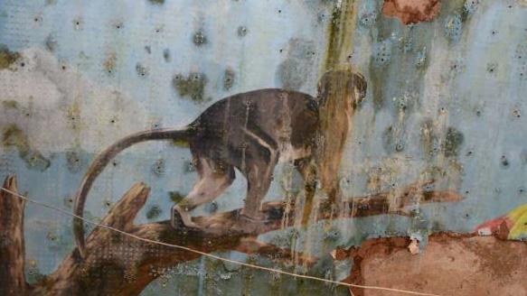 A monkey mural inside the Oasis. It is covered in damp and mould.