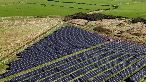 Hundreds of solar panels are arranged in a boxed-shaped field. There are three other green fields next to the farm.