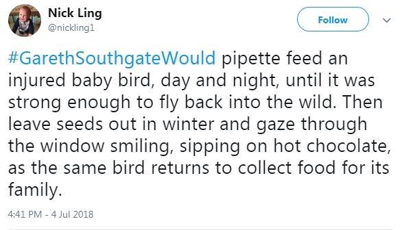 A tweet said #GarethSouthgateWould pipette feed an injured baby bird, day and night, until it was strong enough to fly back into the wild. Then leave seeds out in winter and gaze through the windows smiling, sipping on hot chocolate, as the same bird returns to collect food for its family.