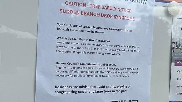 A sign explaining the dangers of Sudden Branch Drop Syndrome, and advising people not to sit near large trees