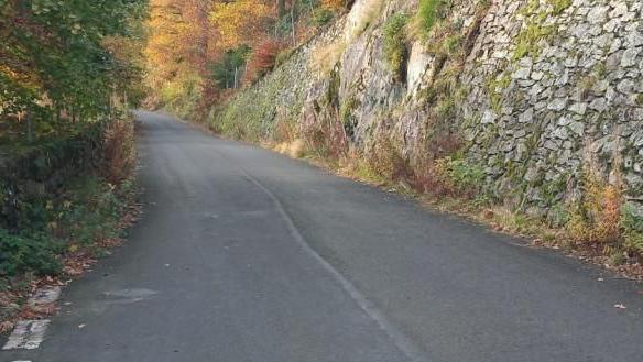 The road is empty after being cleared of rockfall. It is lined by trees either side.