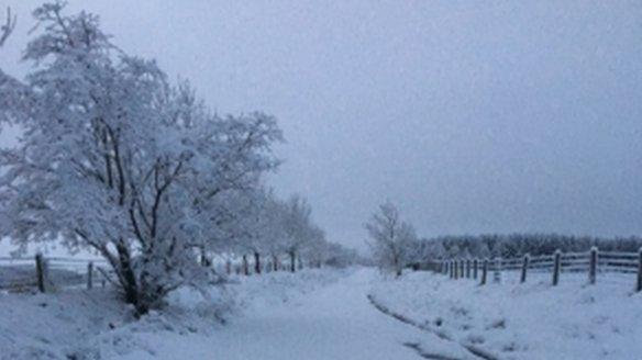 Snowy landscape in the Scottish Borders