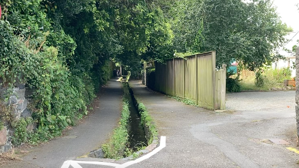 A path with a stream down the middle and a fence on the right.