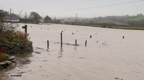 A high tide in Aveton Gifford. The water not clear and there are pieces of wood poking through the top. There is a wall with grass and trees on the left and in the distance green hills with trees.