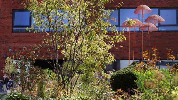 A tree and shrubbery with steel-metal umbrella sculptures in the background