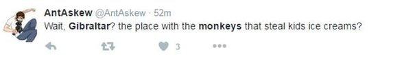 Monkeys tweet