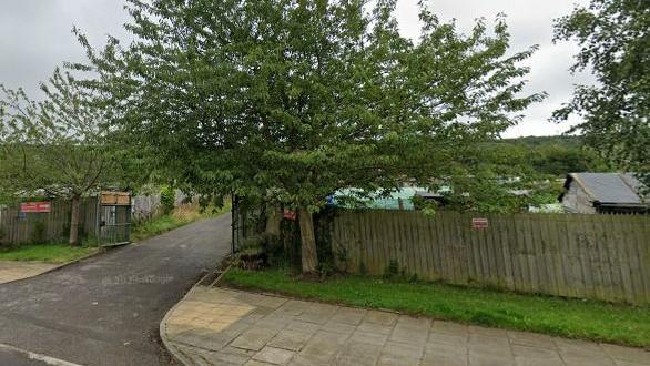 A wooden fence which lines a path and road. A large tree is at the entrance of an open wooden gate. An allotment can be seen behind the fence.