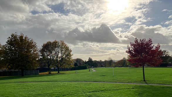 A large green open space, that is a park and has paths running through it. There is a red tree on the right and two football goals without a net in the middle of a large area of grass. The sky is cloudy.