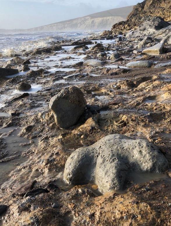 The site where the fossils were found