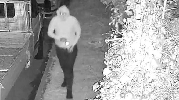 A black and white image. On the left is a van parked next to a grass verge. There is a person in a hoodie and trousers walking along the verge. On the right is a bush. 