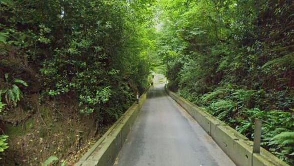 A screenshot from Google street view showing a narrow road with steep vegetated banks rising on either side. There are concrete walls that look to be about two feet high on either side of the road.