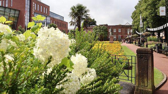 Flower beds in Queens Gardens