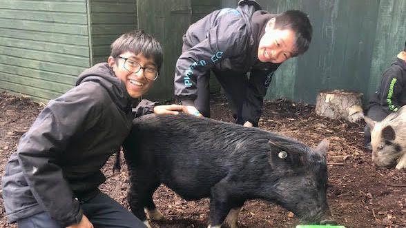 Two school pupils with a black pig 