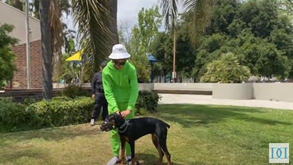 A man in a green tracksuit leans down next to a dog with a muzzle on it, in a green outdoor space