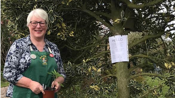 Jennifer Hall wearing a green apron is holding a plant pot 