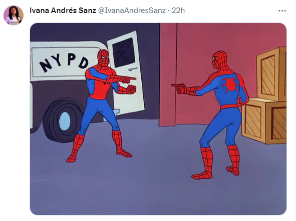 Two people dressed as Spiderman pointing at each other