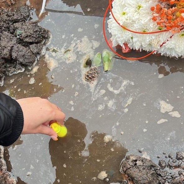 A waterlogged grave with an orange and white floral tribute. There are some leaves floating in the water.