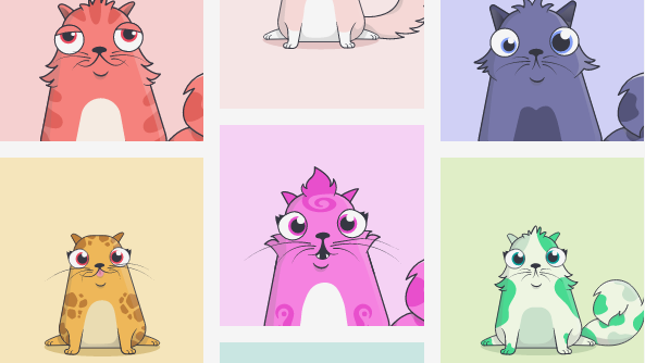 Photos of cartoon cats