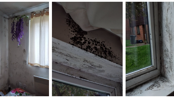 Photographs show the significant mold in Kerrie's Cambridgeshire flat to environmental health in 2020
