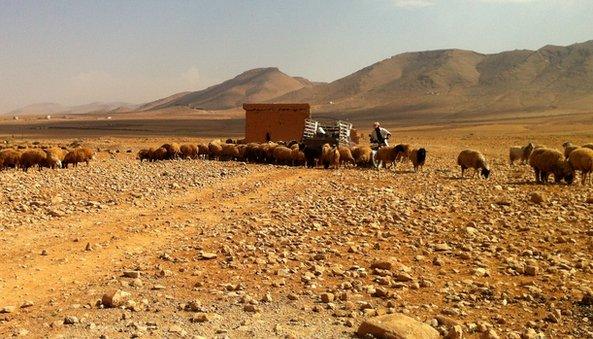 Border between Lebanon and Syria