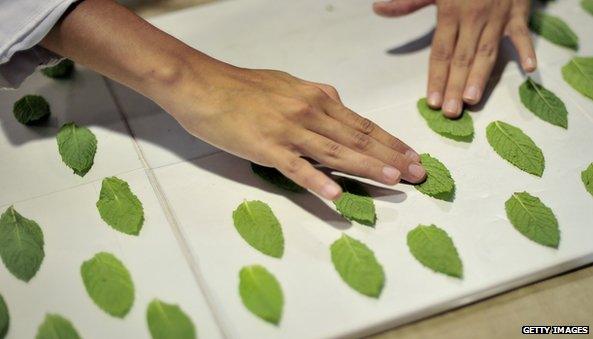 Food being prepared at El Bulli