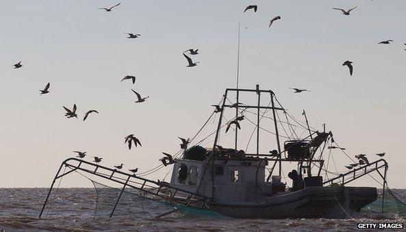 Shrimping boat