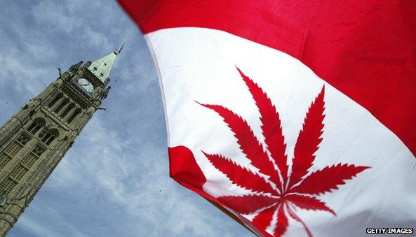 Canadian flag that has a marijuana leaf instead of a maple leaf