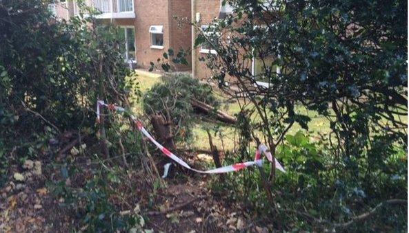 The car veered off Thornhill Road and went through a hedge