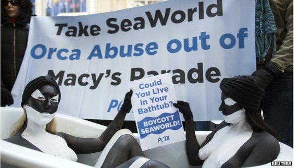 SeaWorld protestors