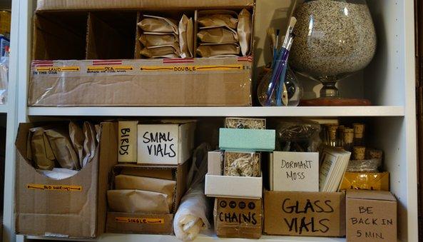 Boxes labeled for moss terariums