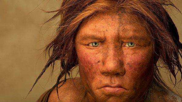 A Neanderthal female reconstruction