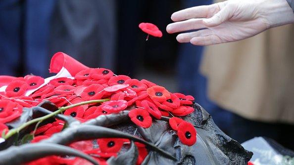 Remembrance day poppies