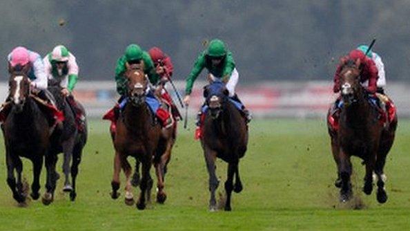 Runners in the St Leger at Doncaster