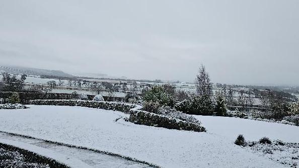 A snow-covered field with low walls and trees in the distance. It's a grey, cloudy day